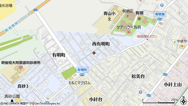 〒950-2071 新潟県新潟市西区西有明町の地図