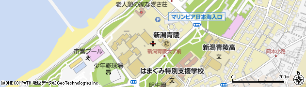 新潟県新潟市中央区水道町周辺の地図