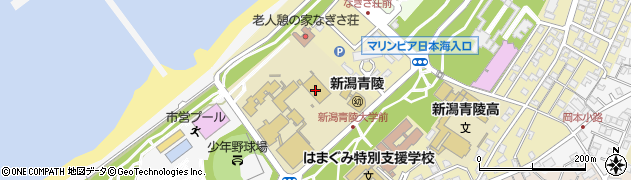 新潟青陵大学　体育館周辺の地図