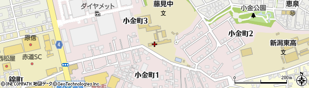 新潟市立藤見中学校周辺の地図