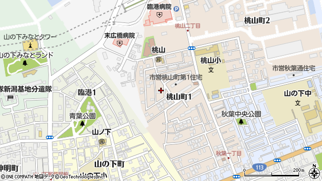 〒950-0051 新潟県新潟市東区桃山町の地図