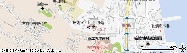 両津デイサービスセンターしゃくなげ周辺の地図