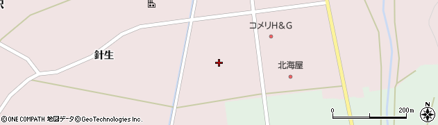 宮城県柴田郡村田町村田針生前周辺の地図