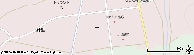 宮城県柴田郡村田町村田針生前19周辺の地図