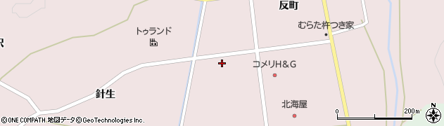 宮城県柴田郡村田町村田針生前15周辺の地図