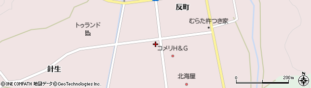 宮城県柴田郡村田町村田針生前14周辺の地図