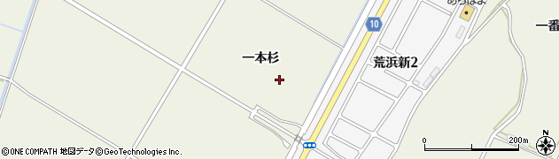 宮城県仙台市若林区荒浜（一本杉）周辺の地図