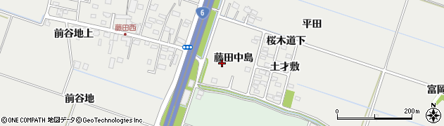 宮城県仙台市若林区荒井（藤田中島）周辺の地図