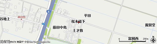 宮城県仙台市若林区荒井桜木道下周辺の地図