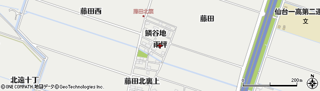 宮城県仙台市若林区荒井（雨坪）周辺の地図