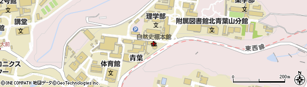 東北大学総合学術博物館周辺の地図