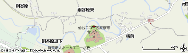 宮城県仙台市青葉区芋沢横前8周辺の地図