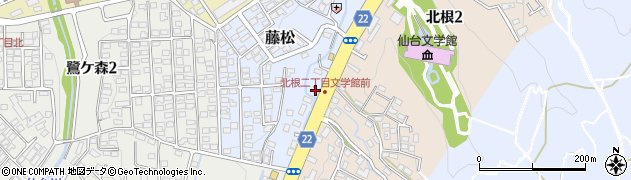 株式会社建装テクノ　仙台営業所周辺の地図
