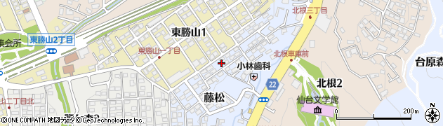 宮城県仙台市青葉区藤松20周辺の地図