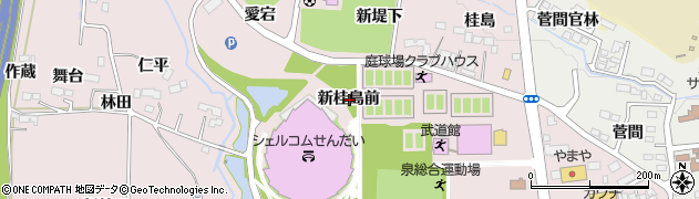 宮城県仙台市泉区野村新桂島前周辺の地図