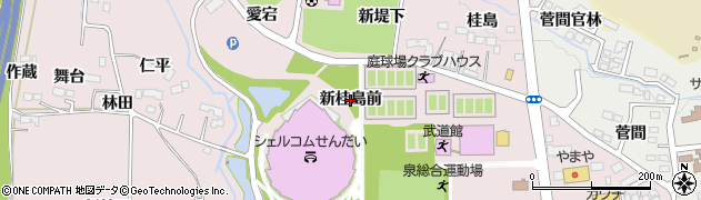 宮城県仙台市泉区野村（新桂島前）周辺の地図
