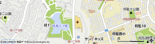 ダイシン桂店周辺の地図