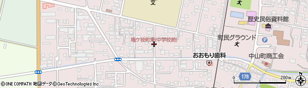 梅ケ枝町東(中学校前)周辺の地図