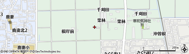 宮城県石巻市渡波根岸前219周辺の地図