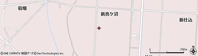 宮城県登米市南方町（新真ケ沼）周辺の地図