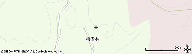 宮城県登米市東和町錦織梅の木18周辺の地図