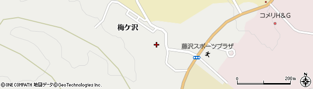 岩手県一関市藤沢町藤沢梅ケ沢81周辺の地図
