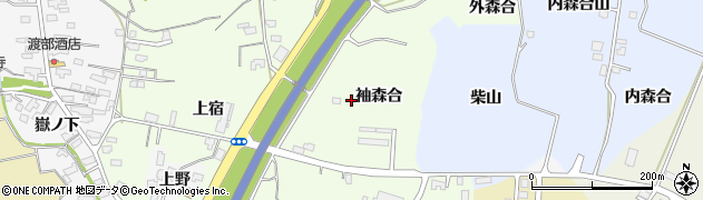 秋田県湯沢市岩崎袖森合周辺の地図