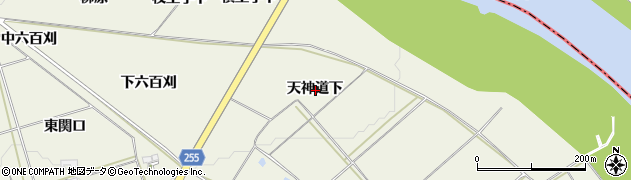 岩手県胆沢郡金ケ崎町三ケ尻天神道下周辺の地図