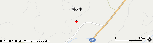 岩手県奥州市江刺広瀬柿ノ木264周辺の地図