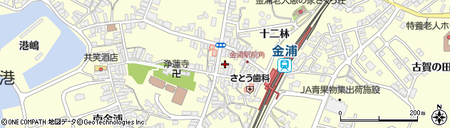 秋田県にかほ市金浦十二林34周辺の地図