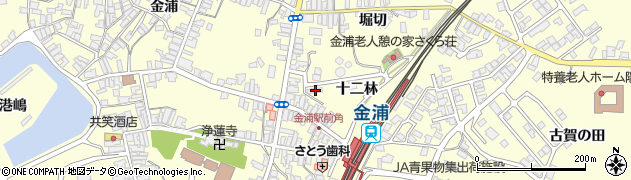 秋田県にかほ市金浦十二林223周辺の地図