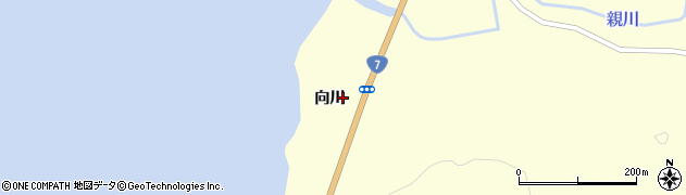 秋田県由利本荘市親川（向川）周辺の地図