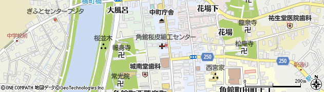 秋田県仙北市角館町中町25周辺の地図