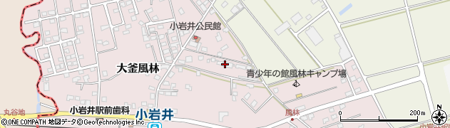 青少年の館小岩井駅前周辺の地図