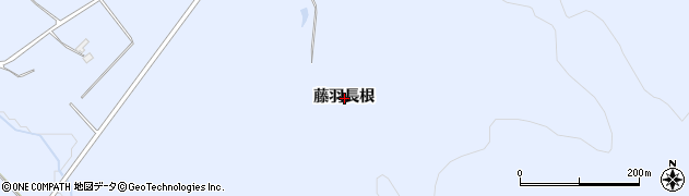 秋田県鹿角市花輪（藤羽長根）周辺の地図