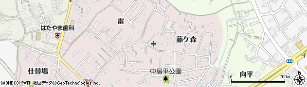 青森県八戸市中居林藤ケ森13周辺の地図