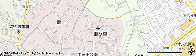 青森県八戸市中居林（藤ケ森）周辺の地図