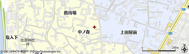 青森県八戸市新井田（中ノ森）周辺の地図