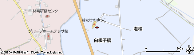 青森県藤崎町（南津軽郡）藤崎（向根子橋）周辺の地図