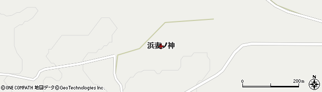 青森県弘前市十面沢（浜妻ノ神）周辺の地図