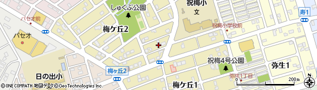 北海道千歳市梅ケ丘周辺の地図