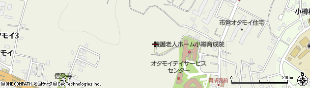 北海道小樽市オタモイ1丁目100周辺の地図