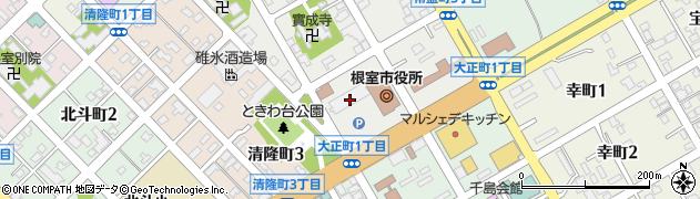 北海道根室市周辺の地図