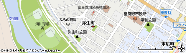弥生町幼児公園周辺の地図