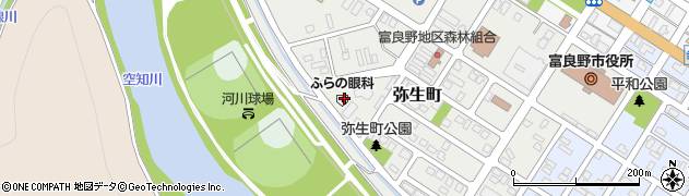 弥生第2児童公園周辺の地図