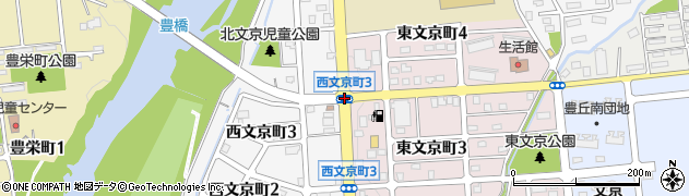 西文京町４周辺の地図