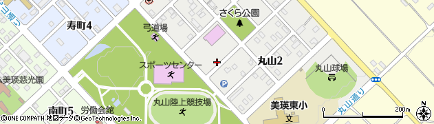 北海道美瑛町（上川郡）丸山周辺の地図