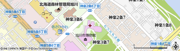 旭川市役所　教育委員会博物館周辺の地図