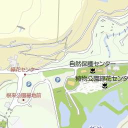 近畿大学 和歌山キャンパス 紀の川市 大学 大学院 の地図 地図マピオン