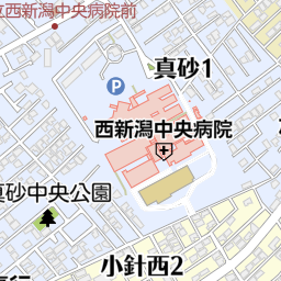新潟県新潟市西区寺尾4の地図(37.881998936760375